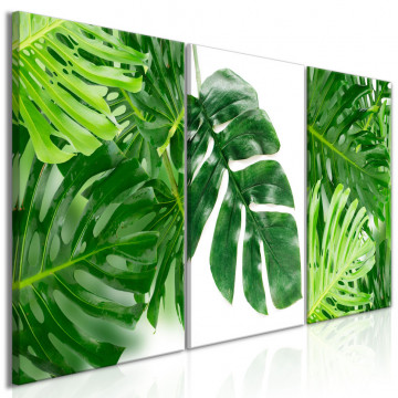 Tablou - Palm Leaves (3 Parts) - Img 1