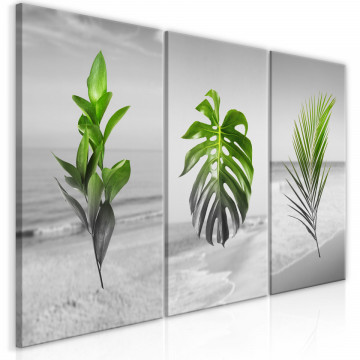 Tablou - Plants (Collection) - Img 1