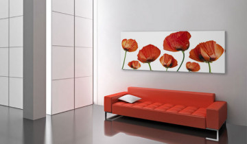 Tablou - Poppies on a white background - Img 4