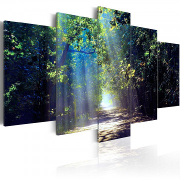 Tablou - Sunny Forest Path - Img 1