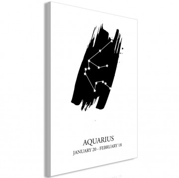 Tablou - Zodiac Signs: Aquarius (1 Part) Vertical - Img 1