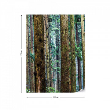 Tree Textures In The Forest Photo Wallpaper Wall Mural - Img 9