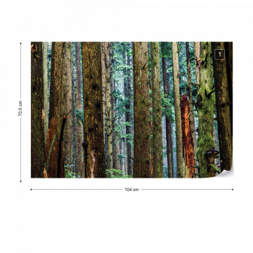 Tree Textures In The Forest Photo Wallpaper Wall Mural - Img 1