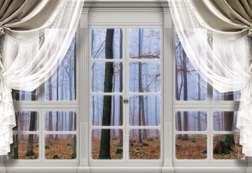 3D Door View Misty Forest Photo Wallpaper Wall Mural - Img 3