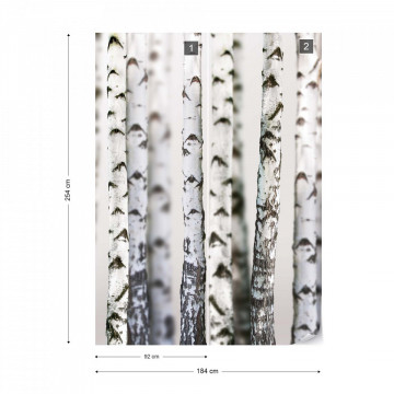 Birch Trees Forest Nature Texture Photo Wallpaper Wall Mural - Img 7