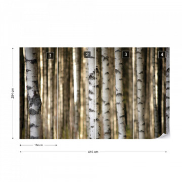 Birch Trees In The Forest Photo Wallpaper Wall Mural - Img 13