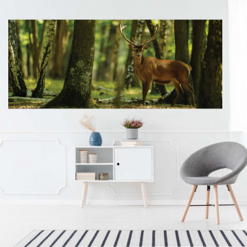 Deer In The Forest Nature Photo Wallpaper Wall Mural - Img 16