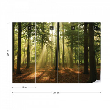 Enchanted Forest Photo Wallpaper Wall Mural - Img 9
