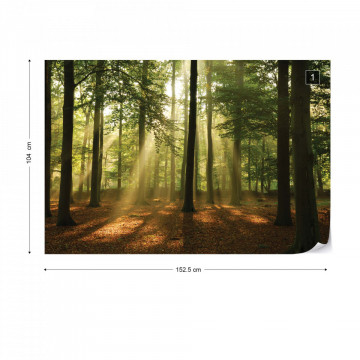 Enchanted Forest Photo Wallpaper Wall Mural - Img 11