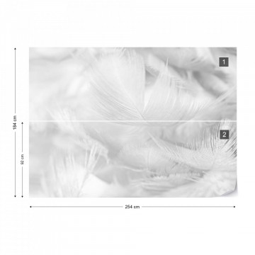 Feathers in Black & White - Img 11
