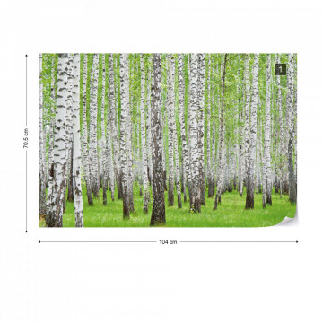 Forest Birch Trees Woods Photo Wallpaper Wall Mural - Img 1