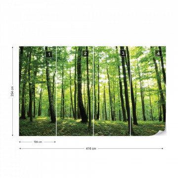 Forest Trees Green Nature Photo Wallpaper Wall Mural - Img 15
