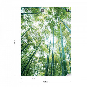 Forest Woods Photo Wallpaper Wall Mural - Img 7