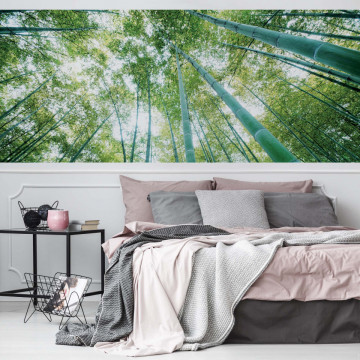 Forest Woods Photo Wallpaper Wall Mural - Img 20