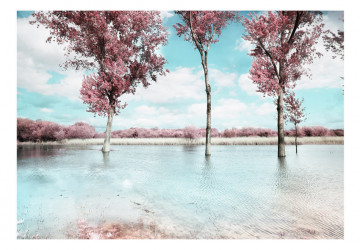 Fototapet - Autumn scenery - Img 2