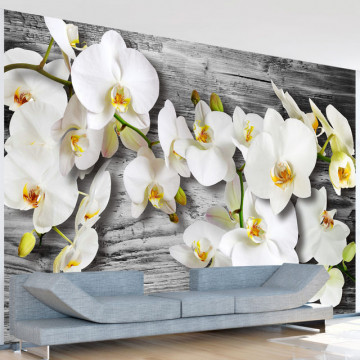 Fototapet - Callous orchids III - Img 1