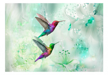 Fototapet - Colourful Hummingbirds (Green) - Img 2