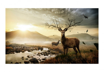 Fototapet - Deers by mountain stream - Img 2