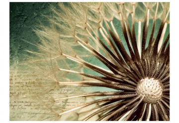 Fototapet - Focus on dandelion - Img 2