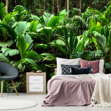 Fototapet - Freshness of the Jungle - Img 1