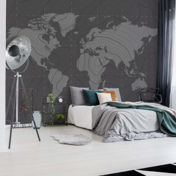 Harta Lumii – Aspect Grafic Minimalist 5