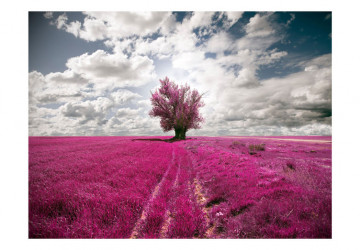 Fototapet - Magenta meadow - Img 2