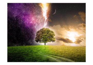 Fototapet - Magic tree - Img 4