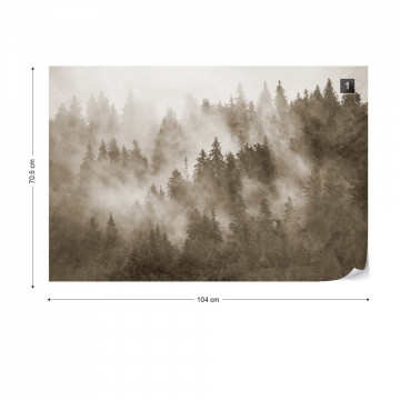 Fototapet - Pădure de Brazi în Ceață – Aspect Texturat, Sepia - Img 1