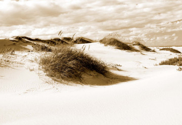 Fototapet - Peisaj cu Dune de Nisip – Sepia - Img 7