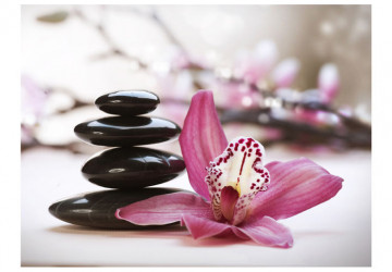 Fototapet - Relaxation and Wellness - Img 4