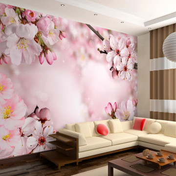 Fototapet - Spring Cherry Blossom - Img 1