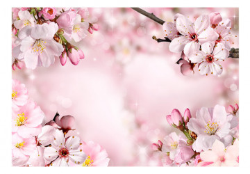 Fototapet - Spring Cherry Blossom - Img 2