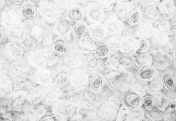 Fototapet - Trandafiri Romantici – Aspect Vintage Alb-Negru - Img 3