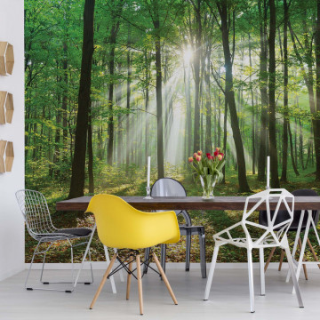 Green Forest Photo Wallpaper Wall Mural - Img 11