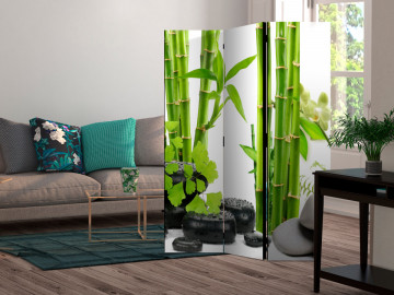 Paravan - Bamboos and Stones [Room Dividers] - Img 2