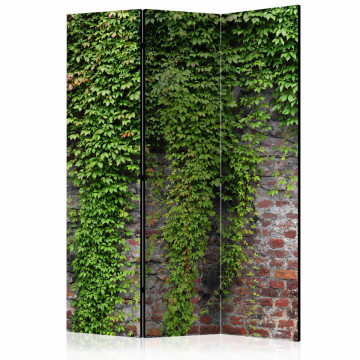 Paravan - Brick and ivy [Room Dividers] - Img 1