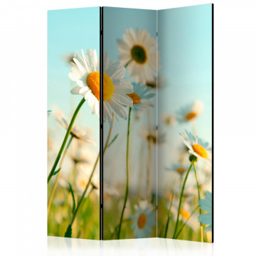 Paravan - Daisies - spring meadow [Room Dividers] - Img 1