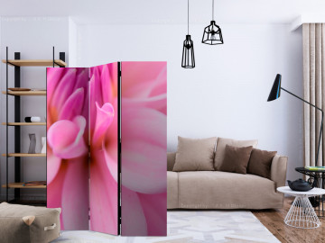 Paravan - Flower petals - dahlia [Room Dividers] - Img 2