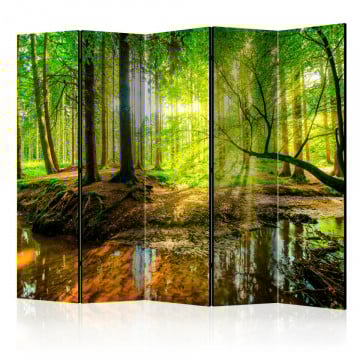 Paravan - Forest Stream II [Room Dividers] - Img 1