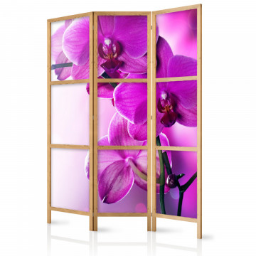 Paravan japonez - Violet Orchids I - Img 1
