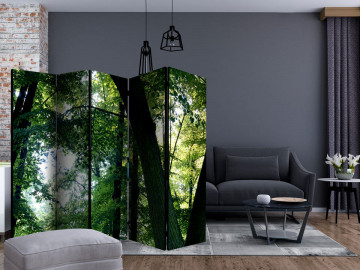Paravan - Spring in the Park II [Room Dividers] - Img 4