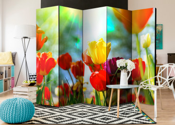 Paravan - Spring Tulips II [Room Dividers] - Img 2