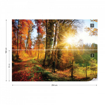 Sunrise In Autumn Forest Photo Wallpaper Wall Mural - Img 5
