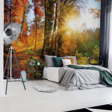Sunrise In Autumn Forest Photo Wallpaper Wall Mural - Img 20