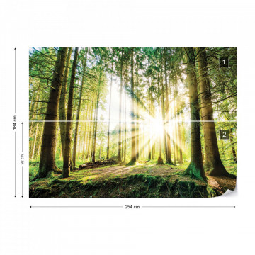Sunrise Through The Forest Trees Photo Wallpaper Wall Mural - Img 5