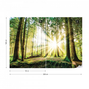 Sunrise Through The Forest Trees Photo Wallpaper Wall Mural - Img 11