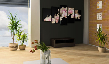 Tablou - An orchid on a contrasting background - Img 4