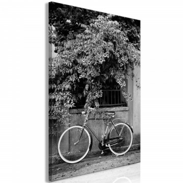 Tablou - Bicycle and Flowers (1 Part) Vertical - Img 1