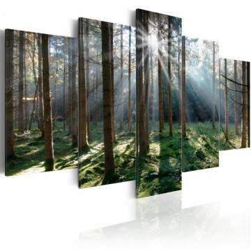 Tablou - Fairytale Forest - Img 1