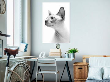 Tablou - Hairless Cat (1 Part) Vertical - Img 2
